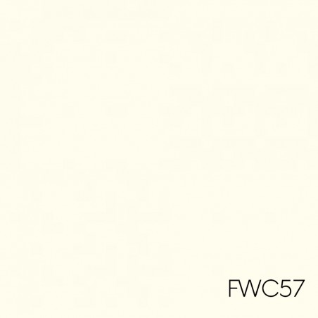 FARBA CERAMICZNA FWC57 1.0L...
